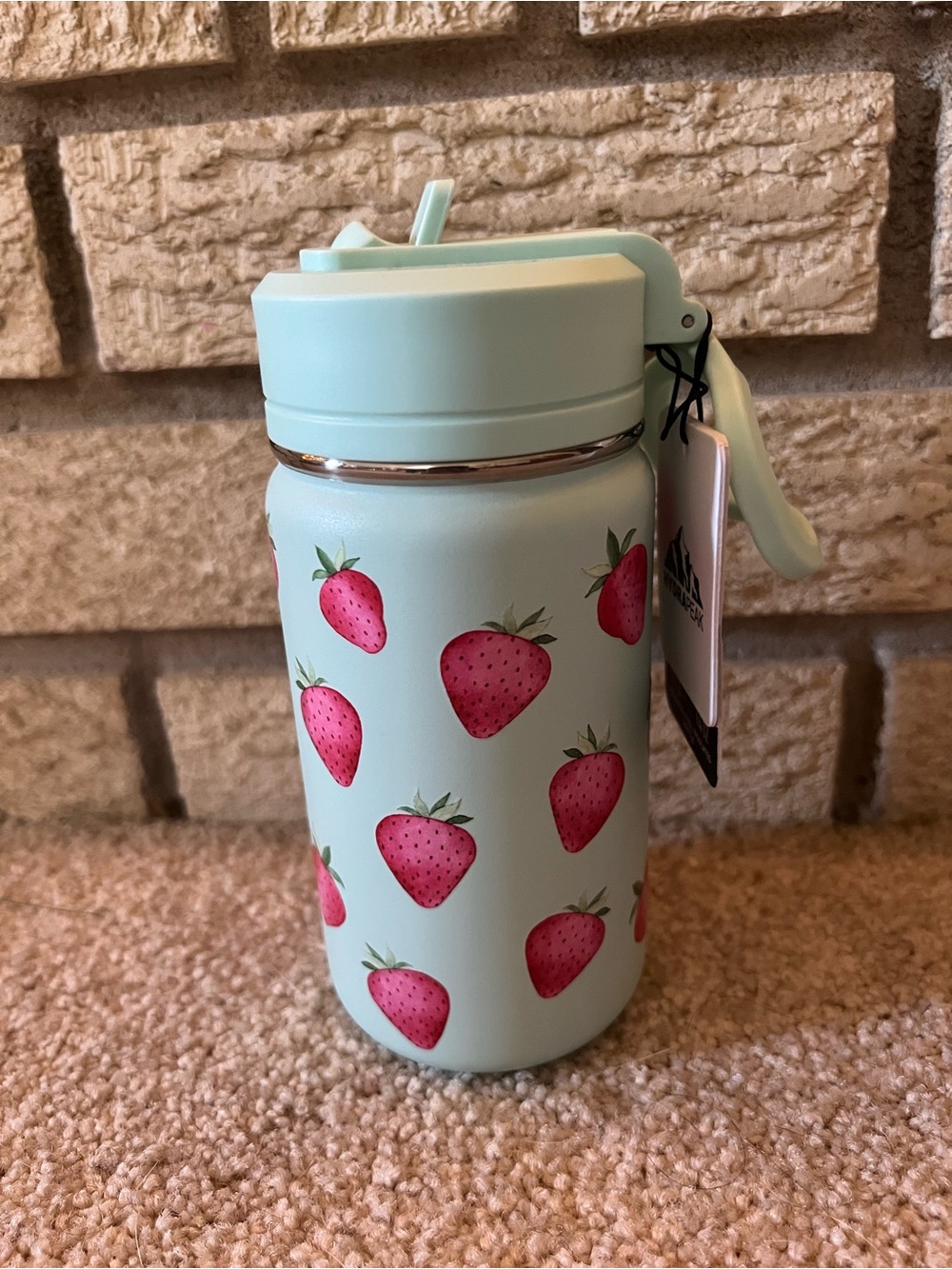 NWT 14 oz Hydrapeak Mint Green Strawberries Water Bottle